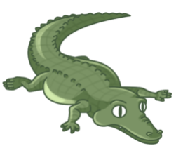 p345_Alligator