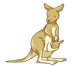 p346_kangaroo