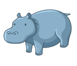 p347_hippopotamus