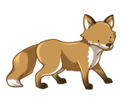 p354_fox