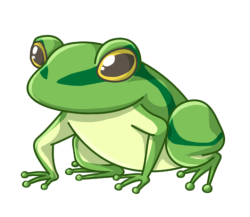 p355_frog