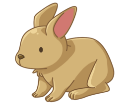 p356_Rabbit