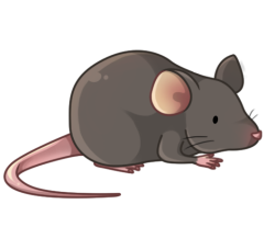p357_mouse