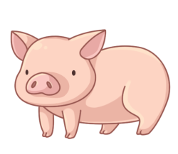 p358_Pig