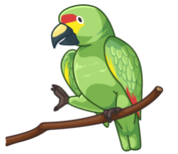 p370_Parrot
