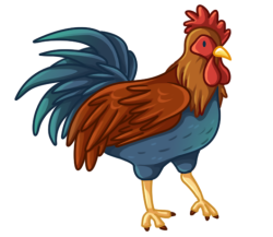p377_rooster