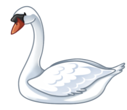 p381_swan