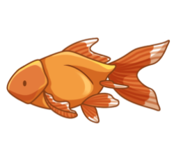 p386_Goldfish