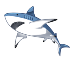 p390_shark