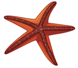 p393_starfish